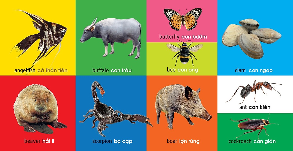 101 First Words - Animals - 101 Từ Đầu Tiên - Động Vật - Bìa Cứng (Tái Bản 2025) - Ảnh 6