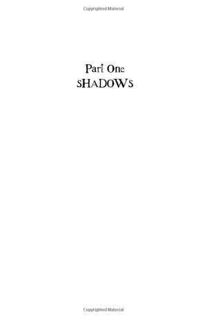 american gods: the tenth anniversary edition: a novel - Ảnh 6