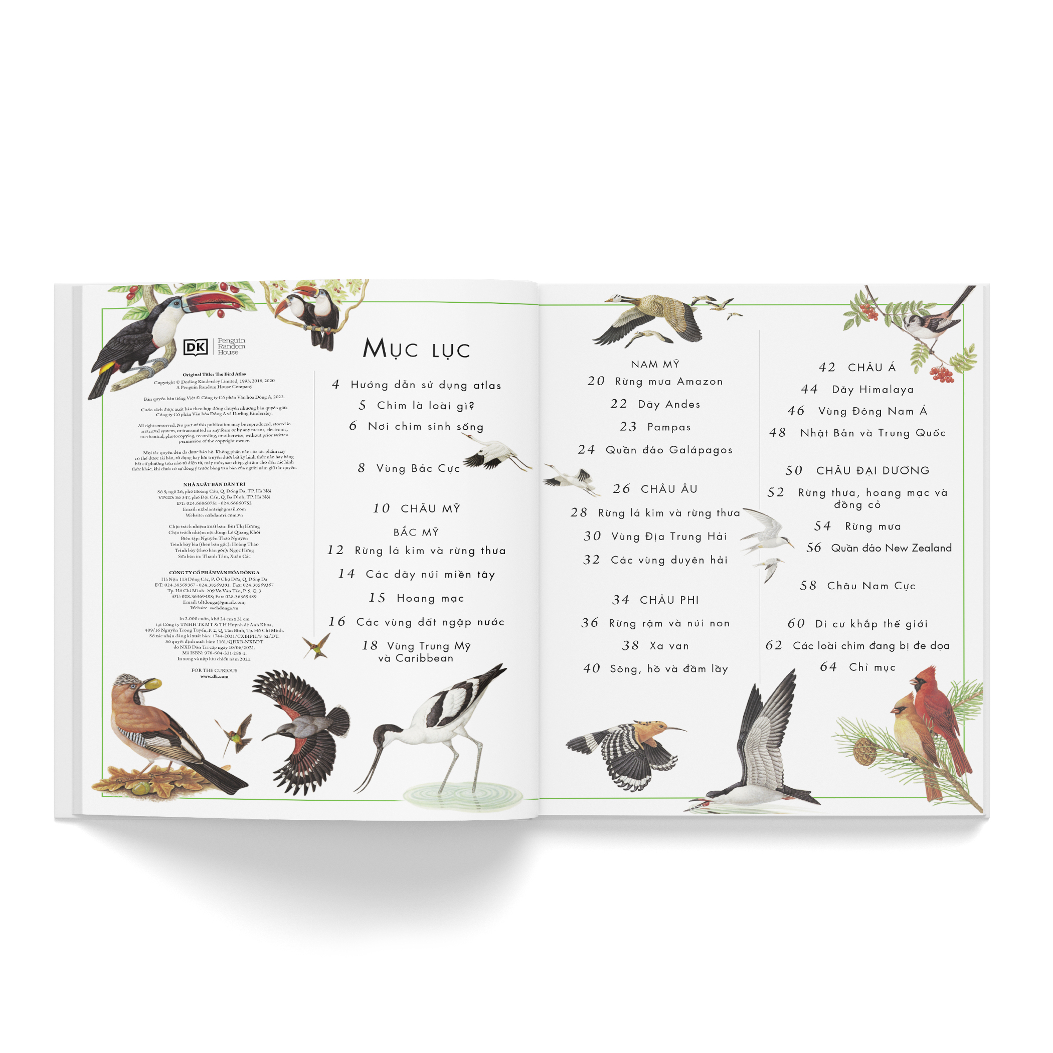 atlas các loài chim - bách khoa bằng hình về các loài chim trên thế giới - Ảnh 4