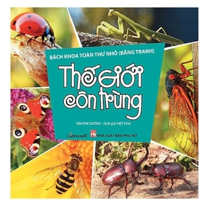 bách khoa toàn thư nhỏ - thế giới côn trùng - Ảnh 2