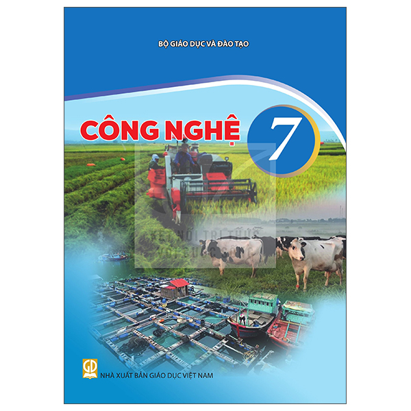 Bài Tập Lịch Sử Và Địa Lí 7 - Phần Lịch Sử (Kết Nối) (Phiên Bản 2026) - Ảnh 21