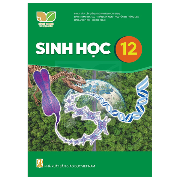 Bài Tập Tin Học 12 - Định Hướng Khoa Học Máy Tính (Kết Nối) (Chuẩn) - Ảnh 30