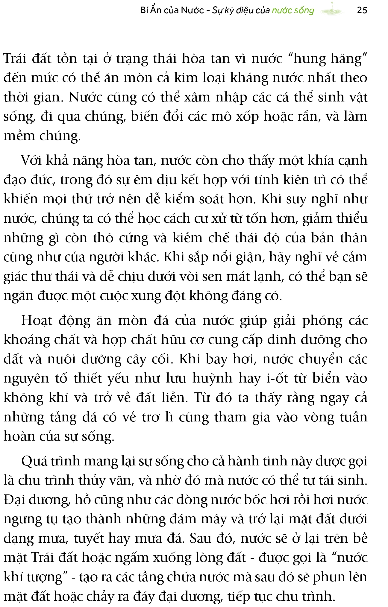 bí ẩn của nước - giải mã sự kỳ diệu của nước sống - the hidden secrets of water - Ảnh 6