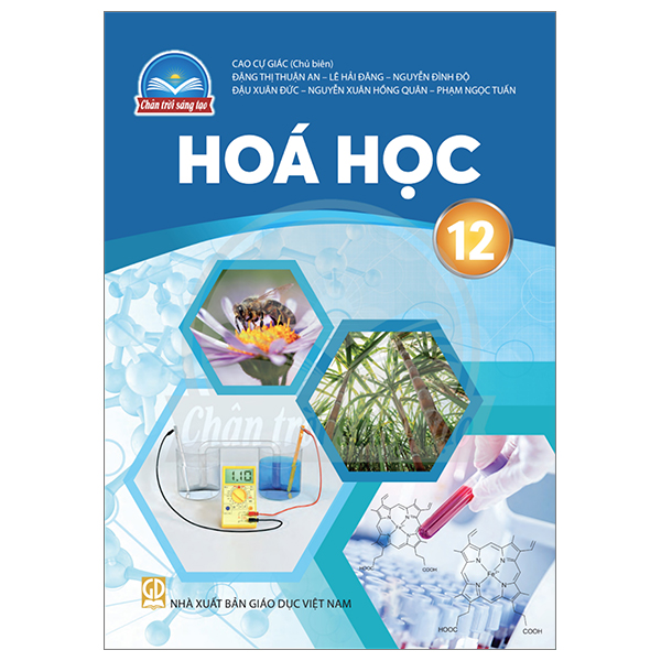 Bộ Bài Tập Ngữ Văn 12 - Tập 2 (Chân Trời) (Chuẩn) - Ảnh 29