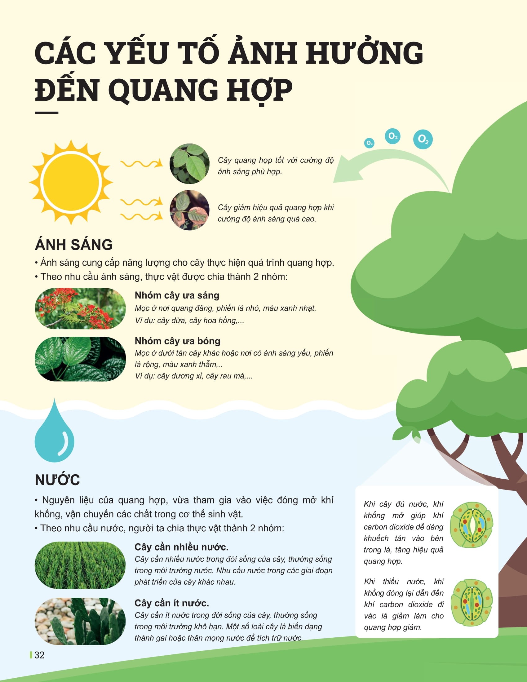 Bo
Dot Pha Tu Duy Khoa Hoc Tu Nhien 7 - Tap 1 (Tai Ban 2025) - Ảnh 11