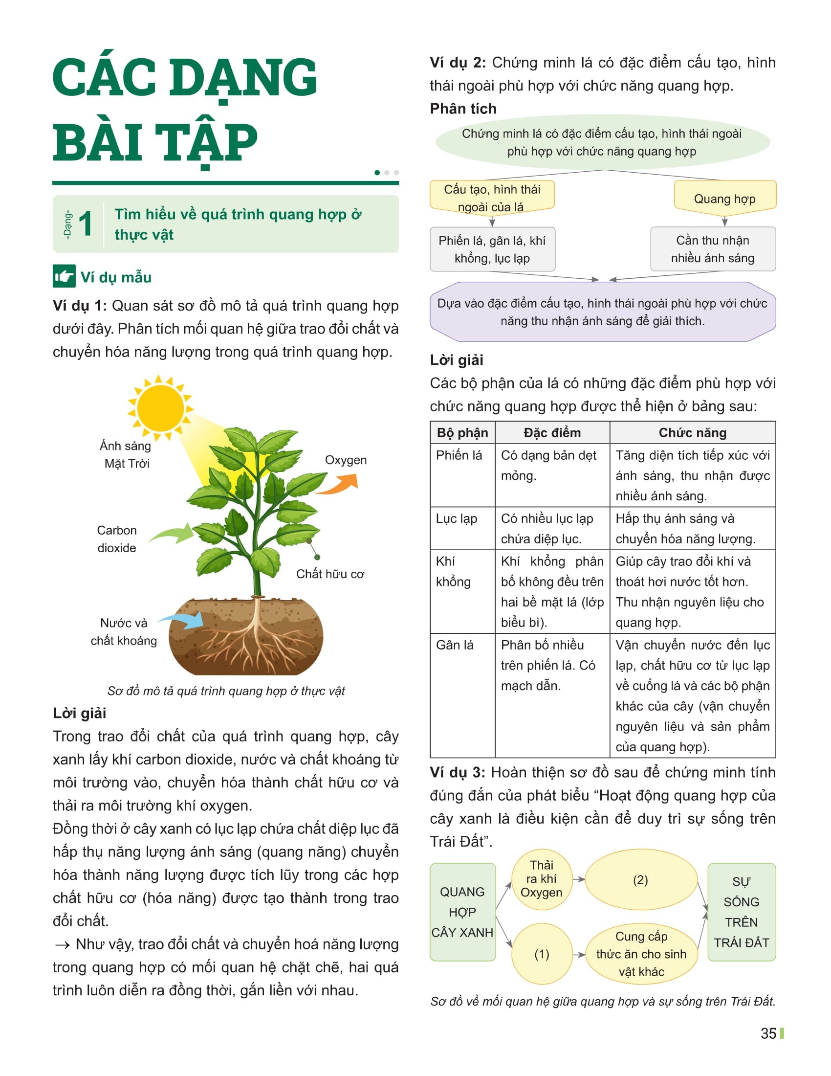Bo
Dot Pha Tu Duy Khoa Hoc Tu Nhien 7 - Tap 1 (Tai Ban 2025) - Ảnh 13