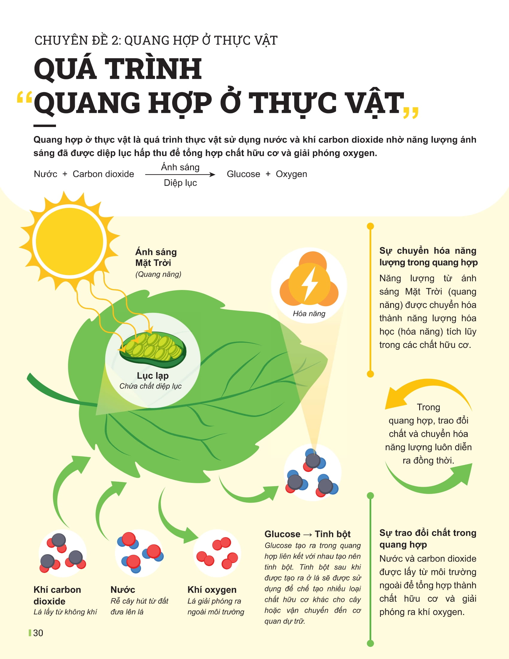 Bộ Đột Phá Tư Duy Khoa Học Tự Nhiên 7 - Tập 2 - Ảnh 8