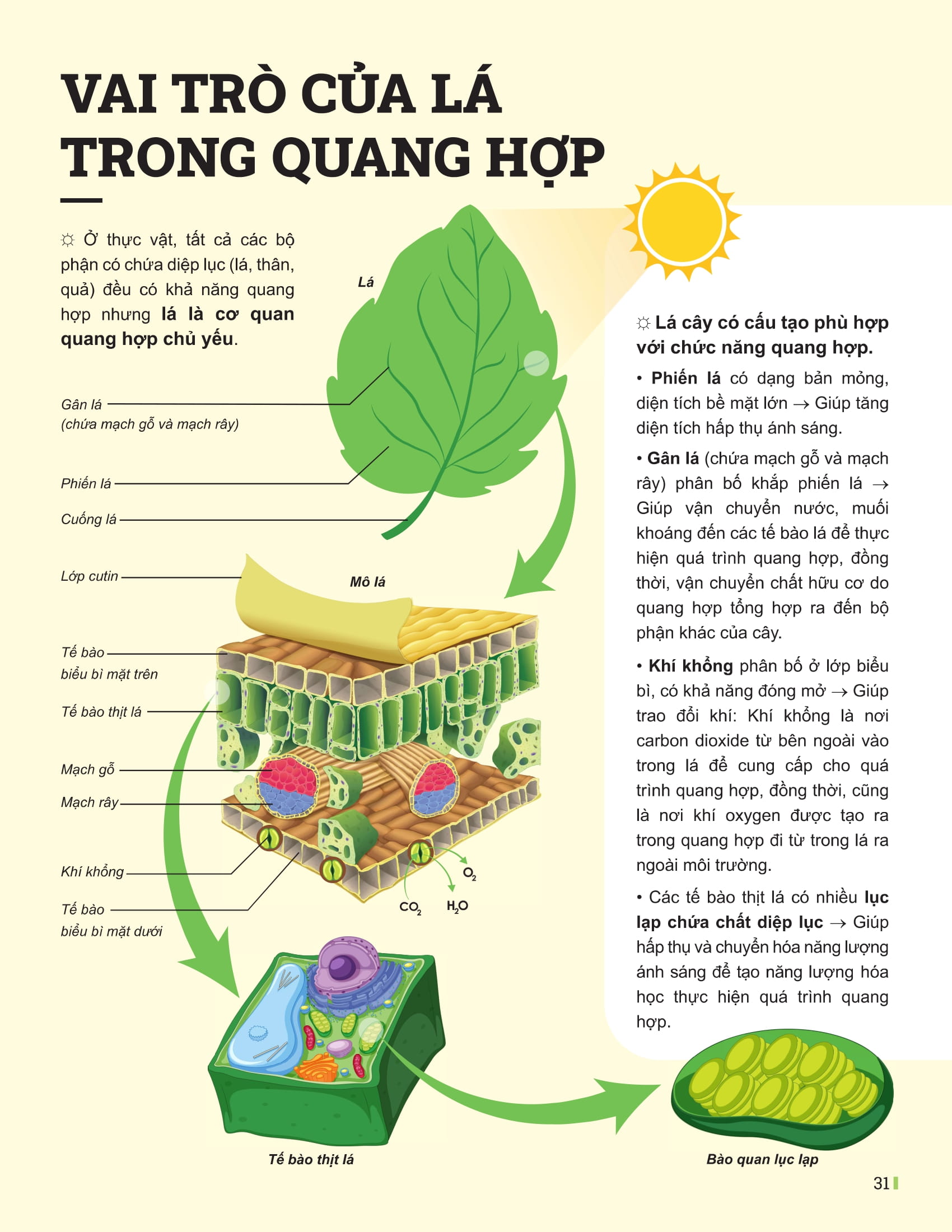 Bộ Đột Phá Tư Duy Khoa Học Tự Nhiên 7 - Tập 2 - Ảnh 9
