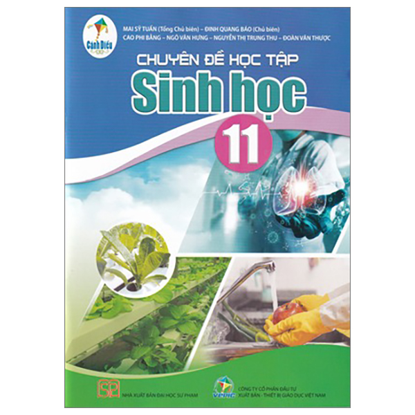 Bo
Giao Duc Quoc Phong Va An Ninh 11 (Canh Dieu) (Chuan) - Ảnh 45