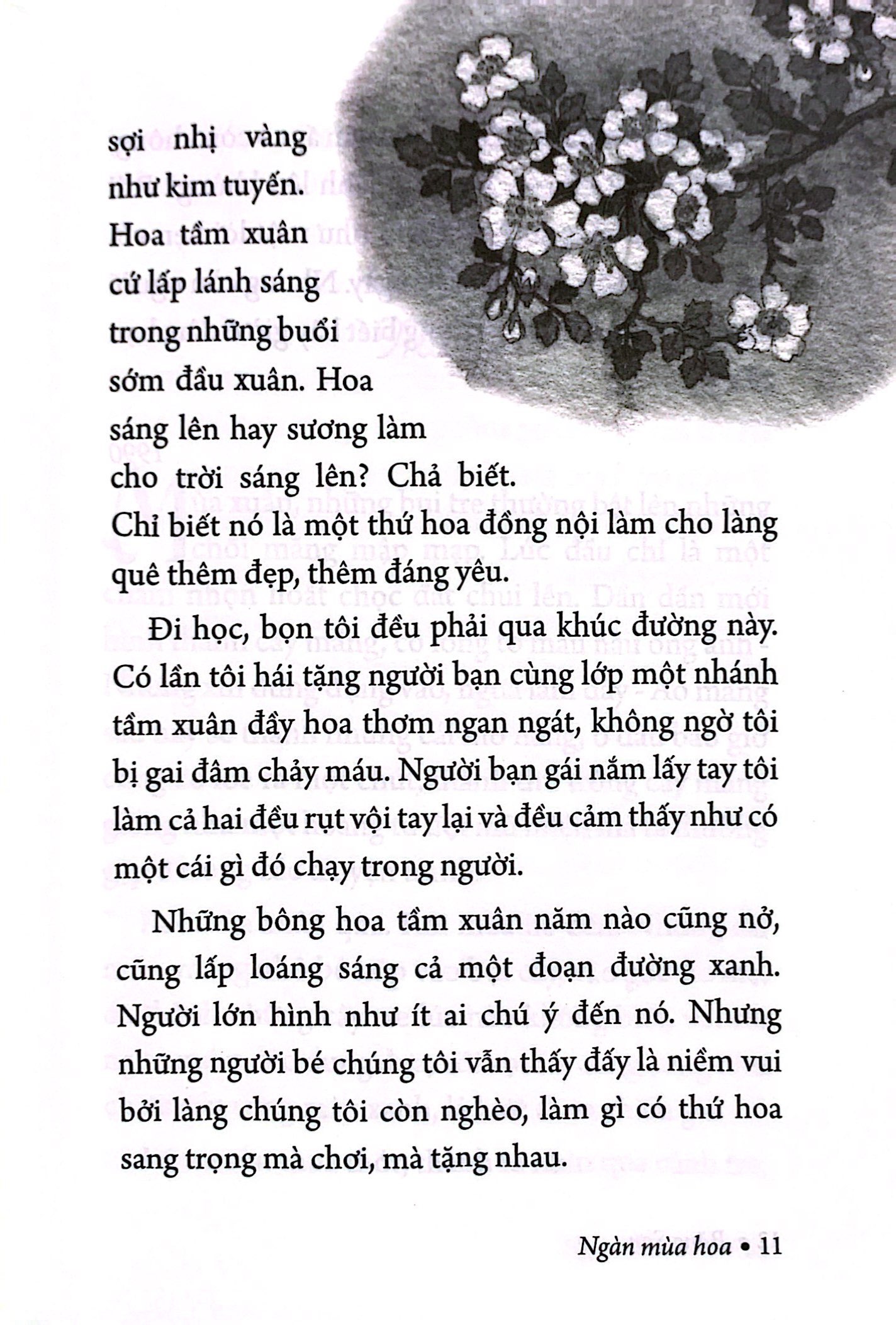Bộ Ngàn Mùa Hoa - Nét Đẹp Thiên Nhiên - Ảnh 5