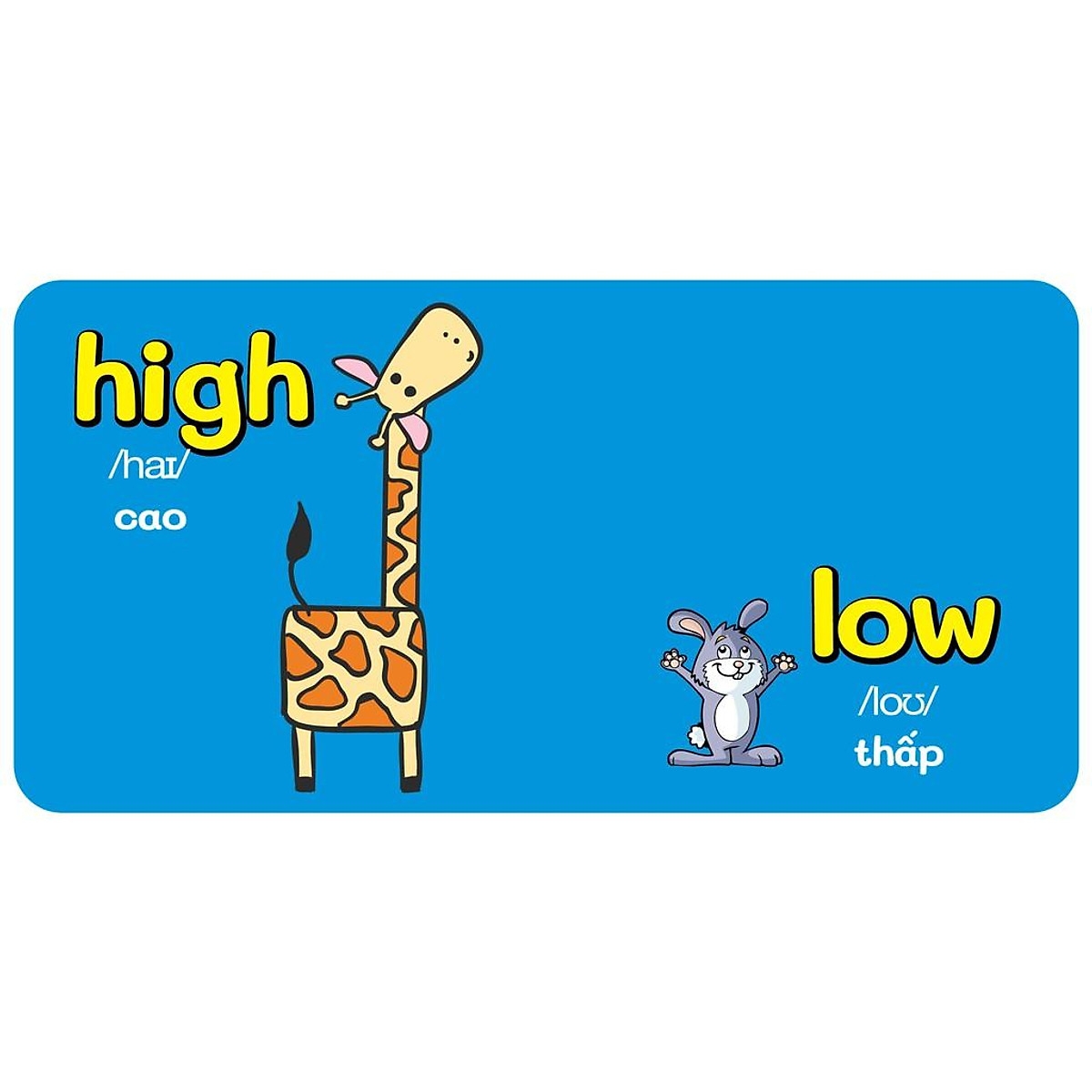bộ sách baby's first picture dictionary - từ điển bằng hình đầu tiên của bé (bộ 9 cuốn) - Ảnh 6
