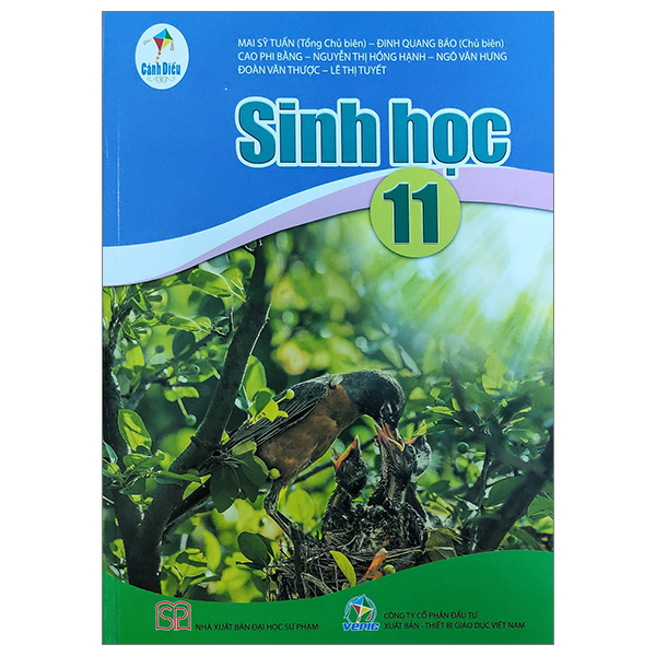 bộ sách giáo khoa lớp 11 - cánh diều - chương trình chuẩn (bài học + bài tập) - Ảnh 40