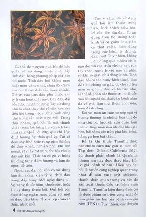 bộ sổ tay y học - những bài thuốc hay 66 - Ảnh 5