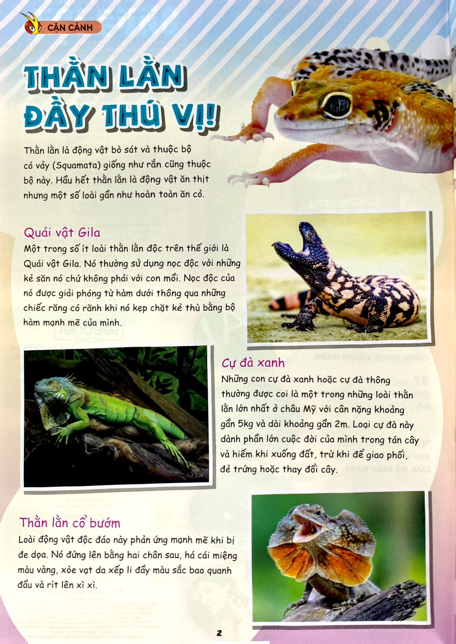 Bo
The Young Scientist - Truyen Tranh Khoa Hoc Cho Tre Em - Level 3 - Tap 8 - Gau Truc Nghich Ngom - Ảnh 5