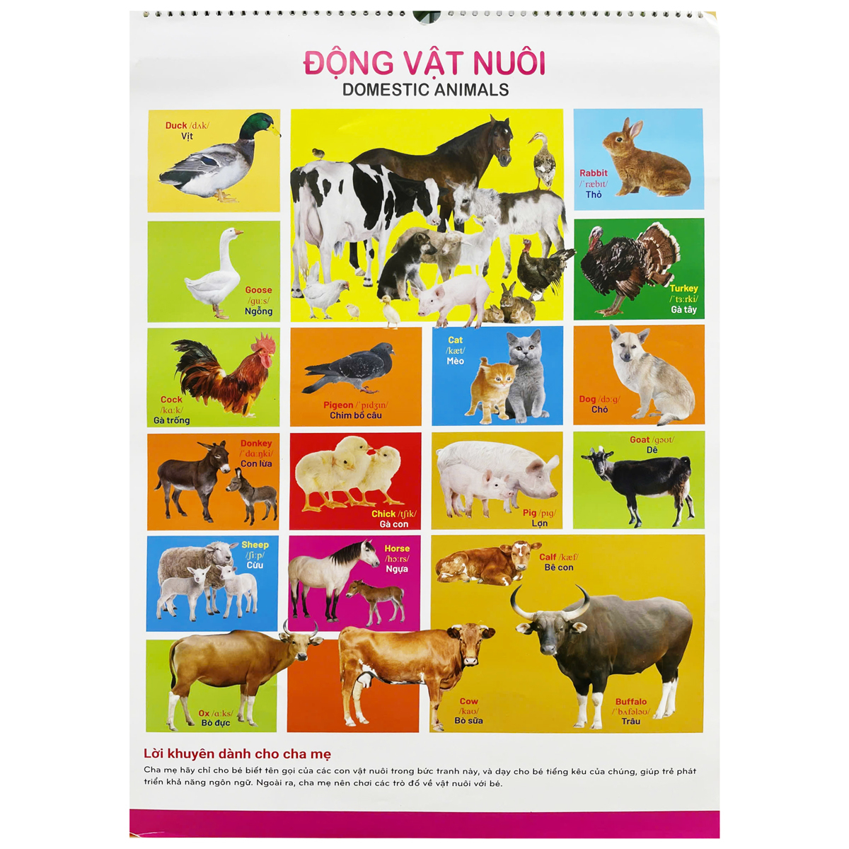 Bộ Tranh Treo Tường Cho Bé (Dành Cho Bé Từ 2 Đến 6 Tuổi) - Ảnh 5