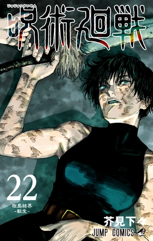bộ 呪術廻戦 22 - jujutsu kaisen 22 - Ảnh 2