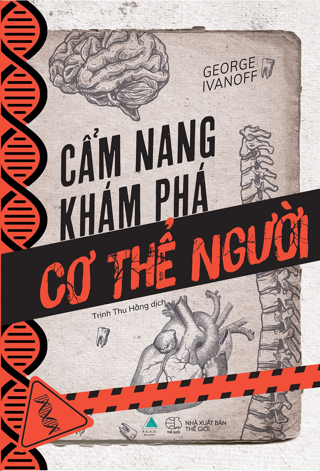 Cẩm Nang Khám Phá Cơ Thể Người (Tái Bản 2025) - Ảnh 2