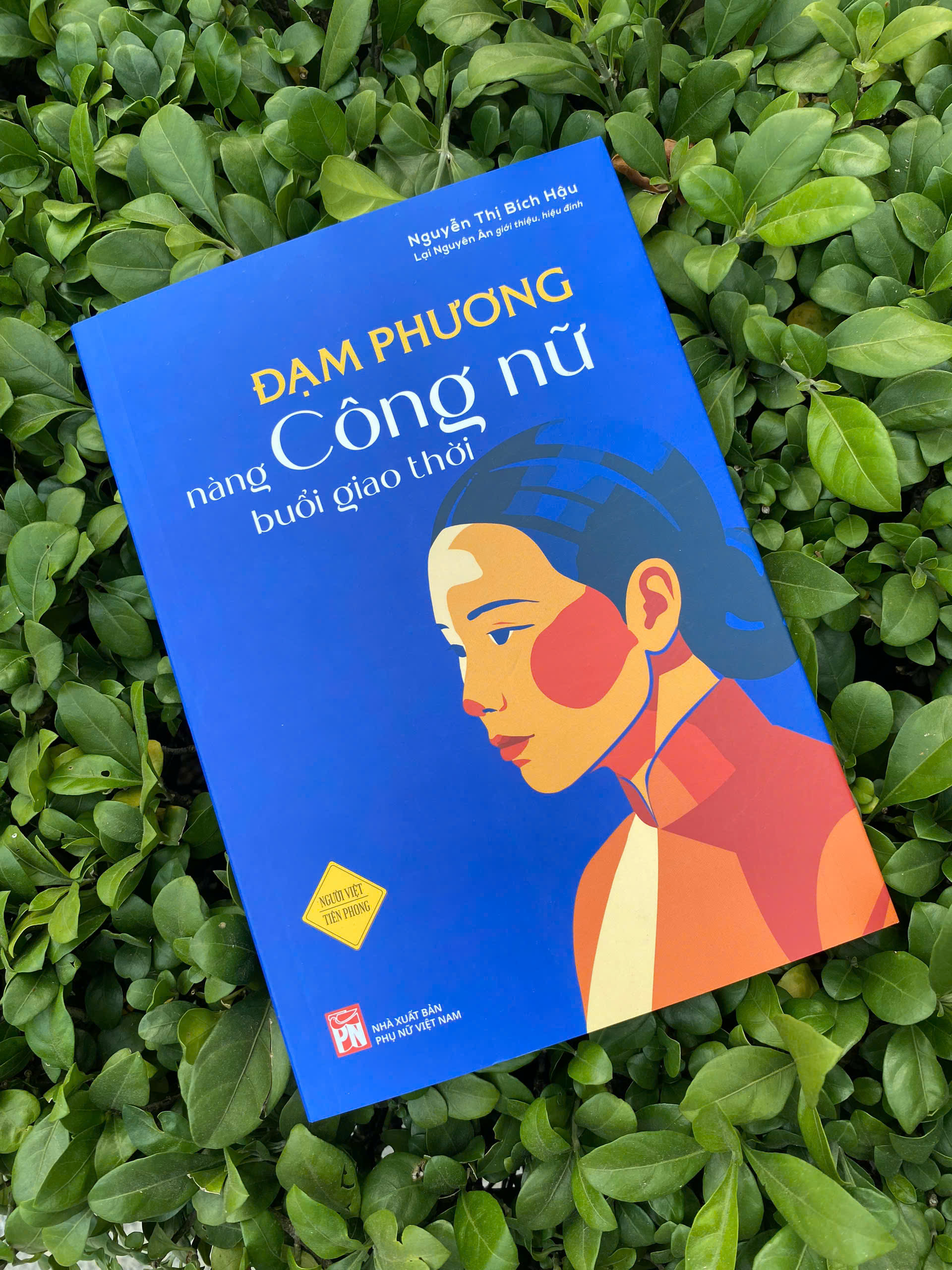 Đạm Phương - Nàng Công Nữ Buổi Giao Thời - Ảnh 3