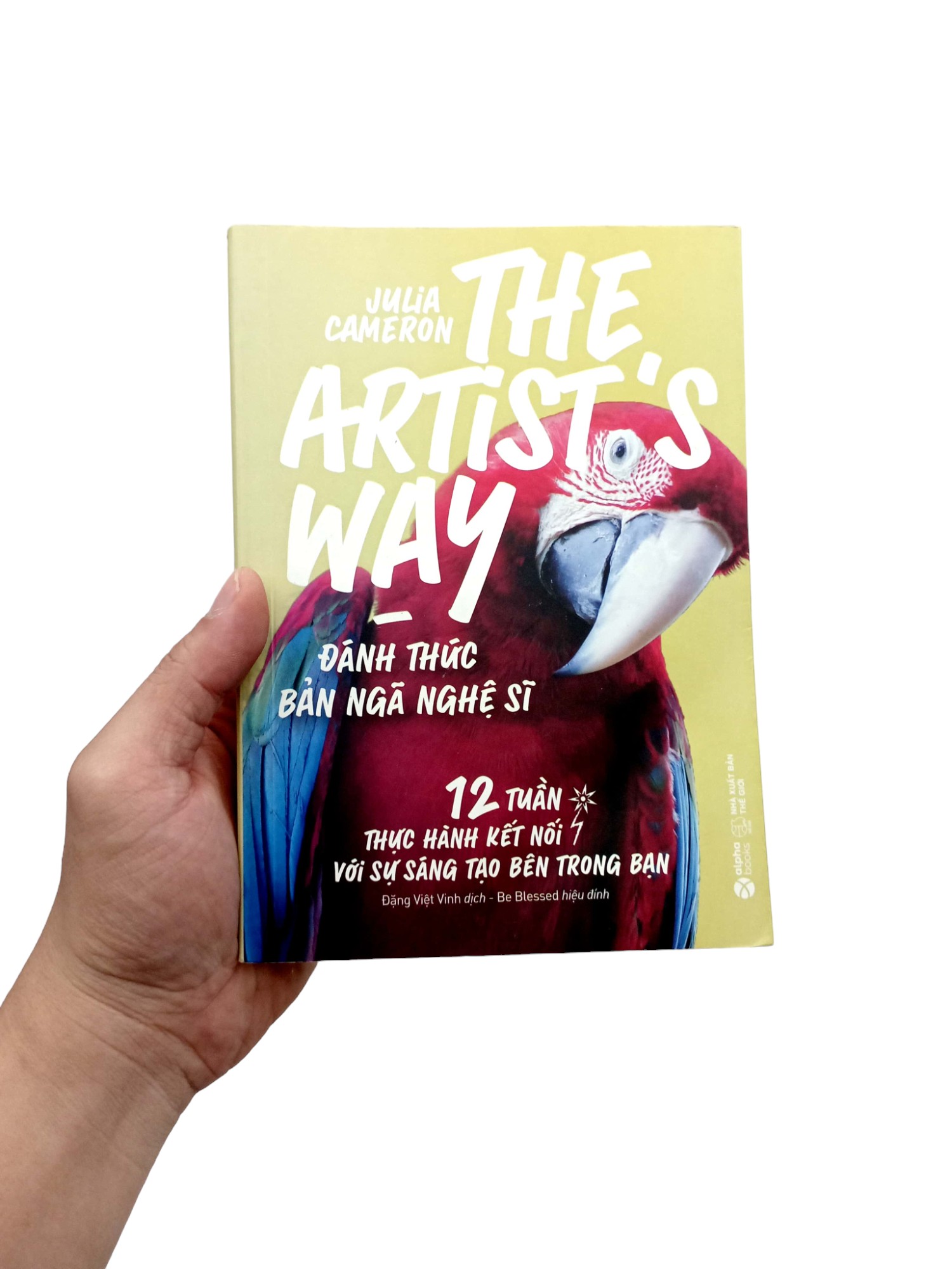 đánh thức bản ngã nghệ sĩ - the artist's way - Ảnh 8