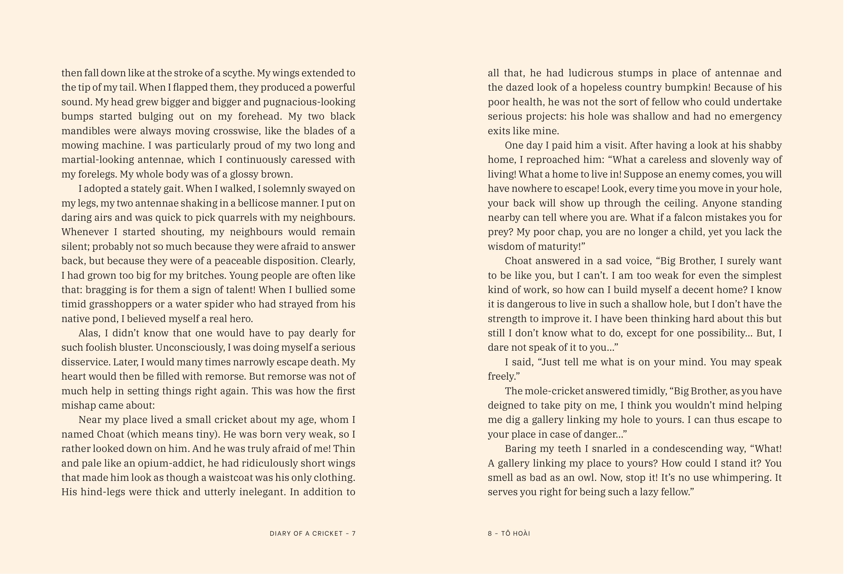Diary Of A Cricket (Illustrations By Ngô Mạnh Lân) - Bìa Cứng - Ảnh 4