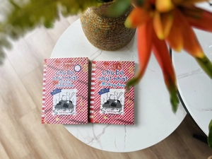 diary of a wimpy kid - nhật ký chú bé nhút nhát - tập 19 - mớ bòng bong - hot mess (song ngữ việt-anh) - Ảnh 8