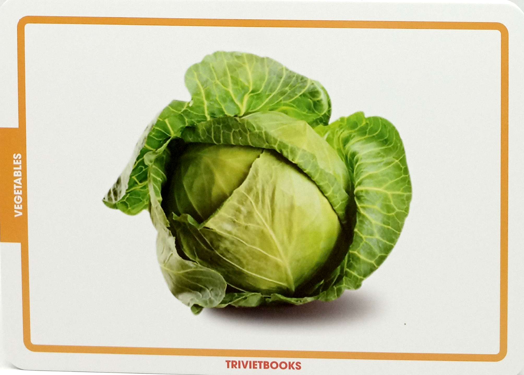 flashcard rau củ quả - vegetables - Ảnh 4