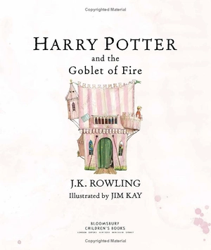 harry potter and the goblet of fire illustrated edition - Ảnh 4
