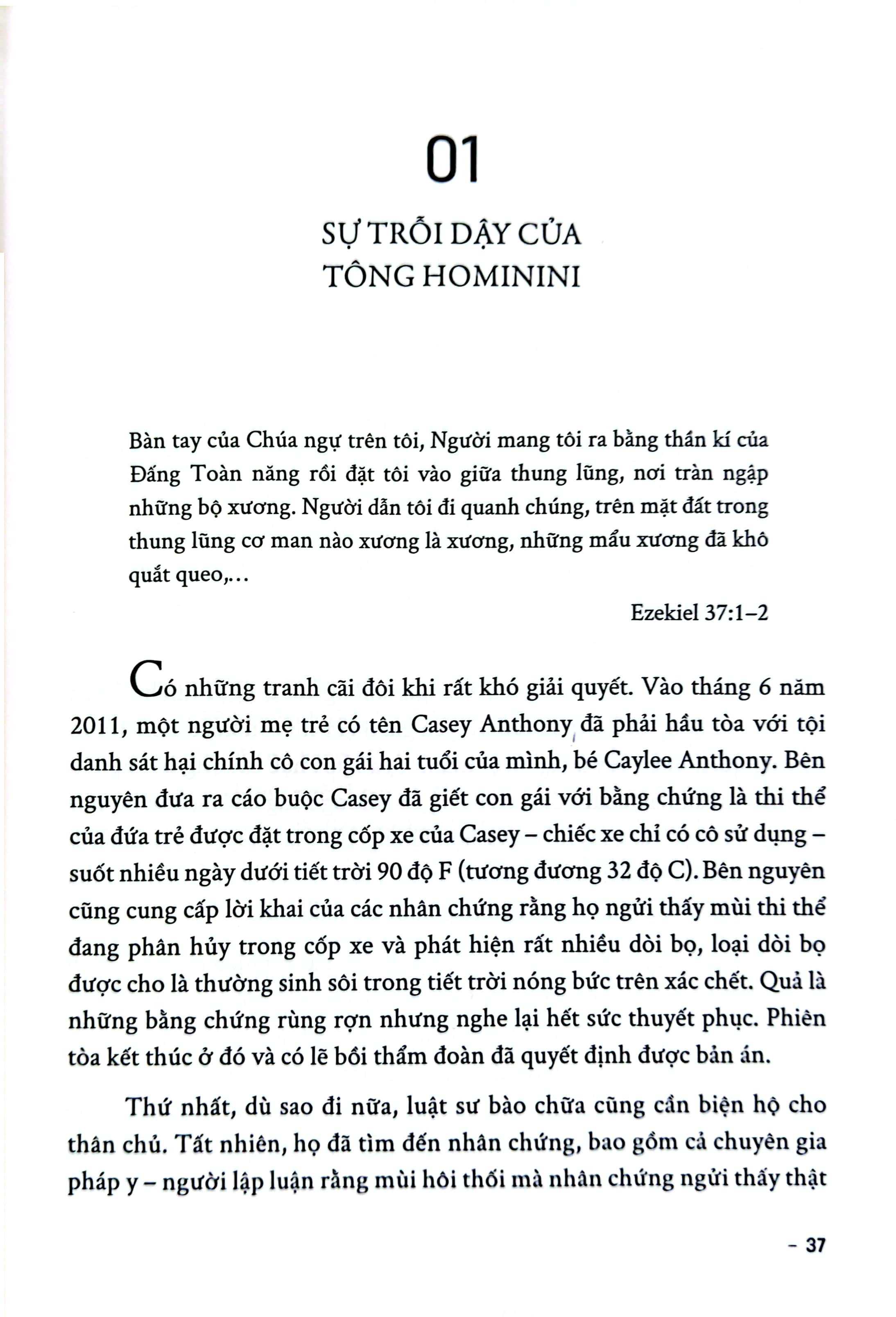 lược sử ngôn ngữ - chuyện kể về phát minh vĩ đại nhất của loài người - Ảnh 8