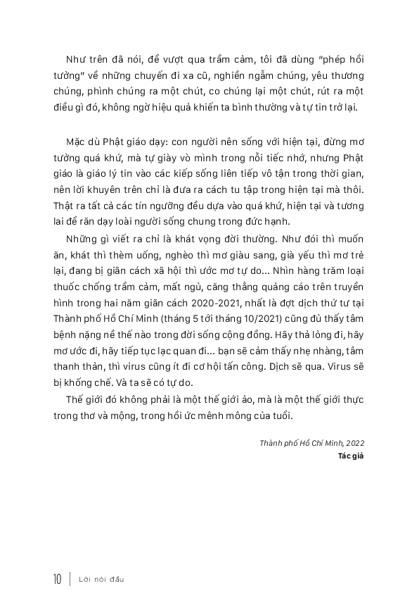 những giấc mơ bay tự do - hiệu ứng covid19 - nghĩ mới về những chuyến đi cũ - Ảnh 9