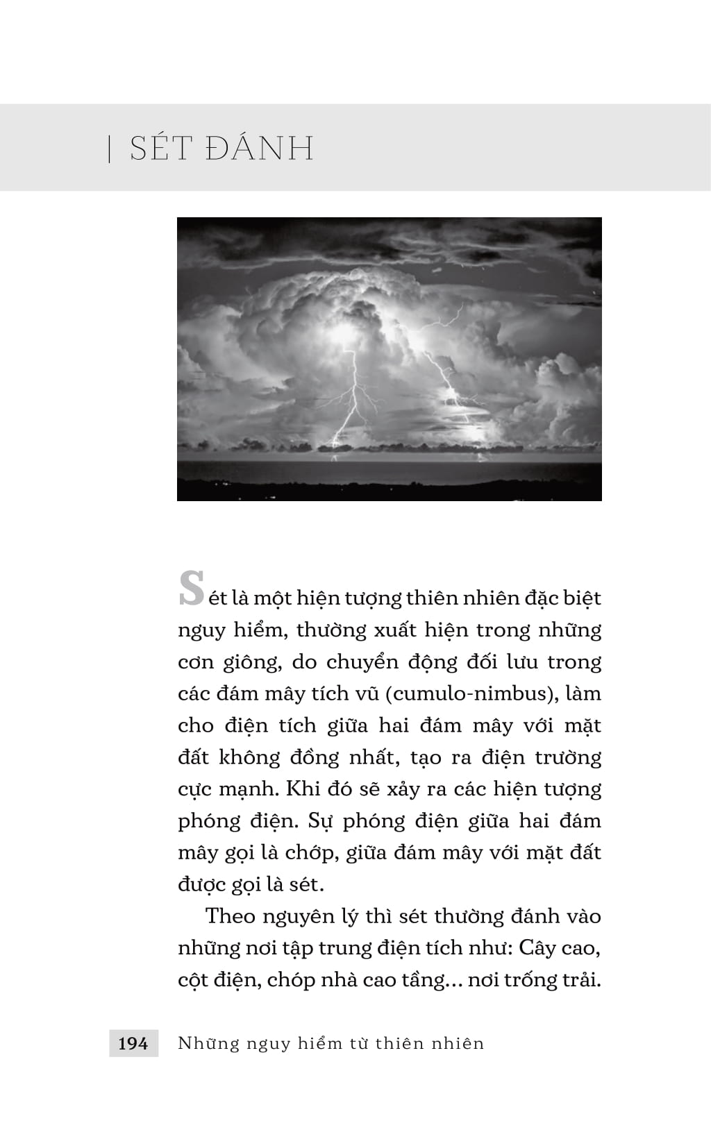 những nguy hiểm từ thiên nhiên - Ảnh 12