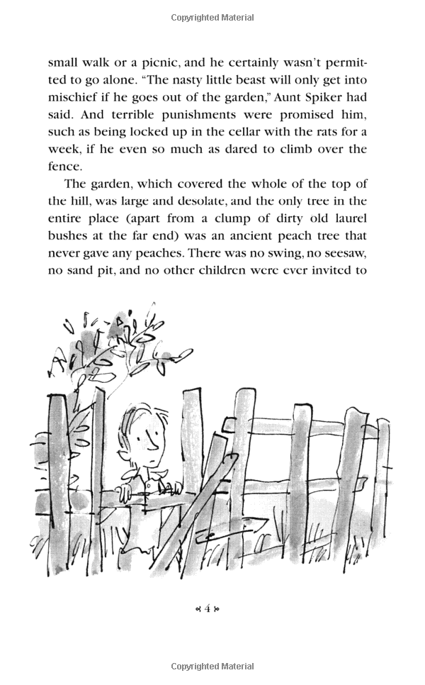 penguin putnam inc james and the giant peach (set of 12) - Ảnh 8