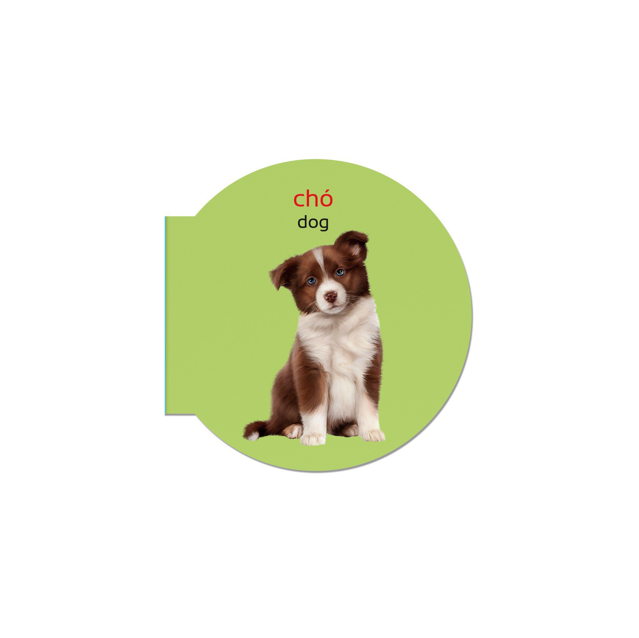 picture dictionary - từ điển bằng hình - domestic animals - động vật nuôi - bìa cứng (tái bản 2023) - Ảnh 4