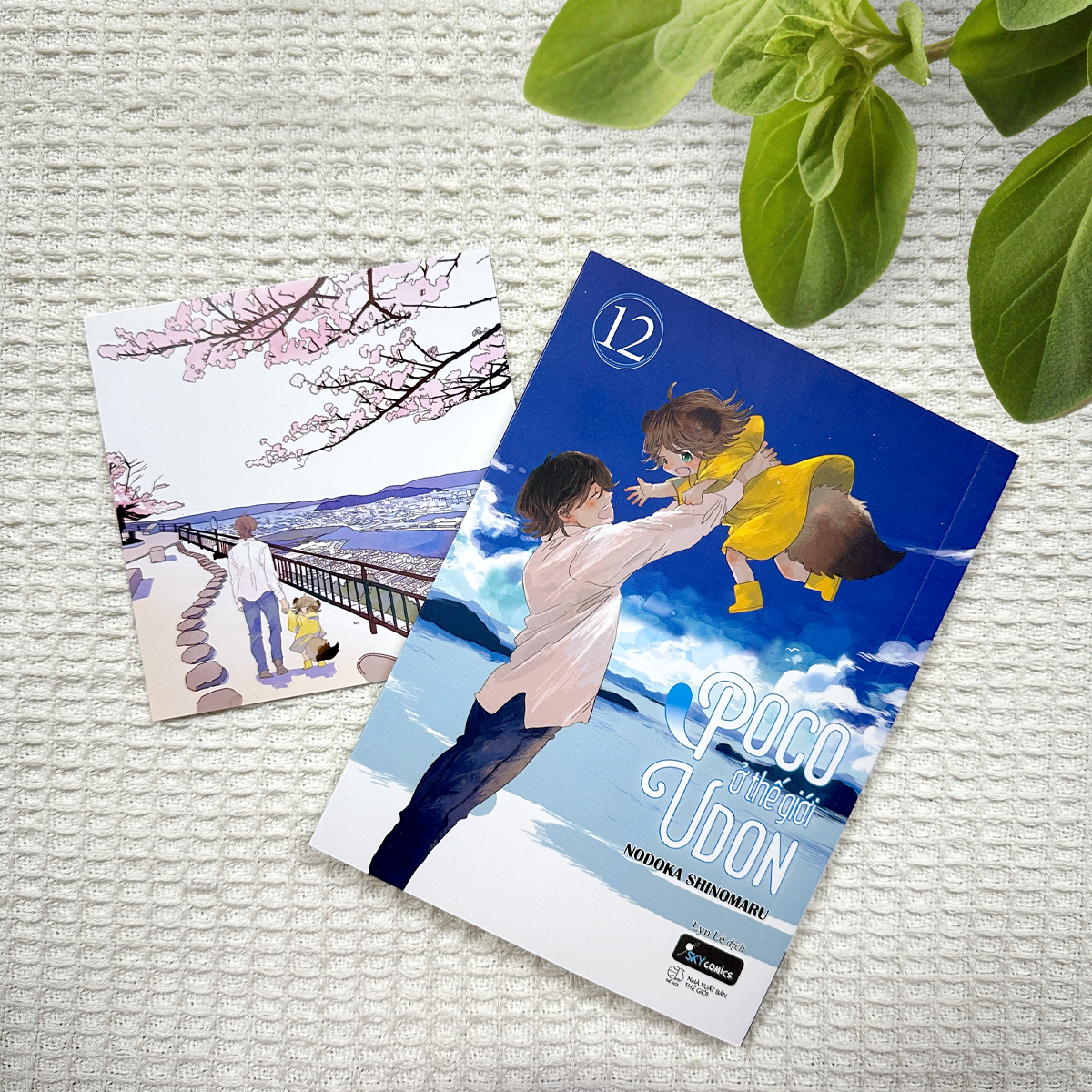 poco ở thế giới udon - tập 12 - tặng kèm postcard hai mặt - Ảnh 4