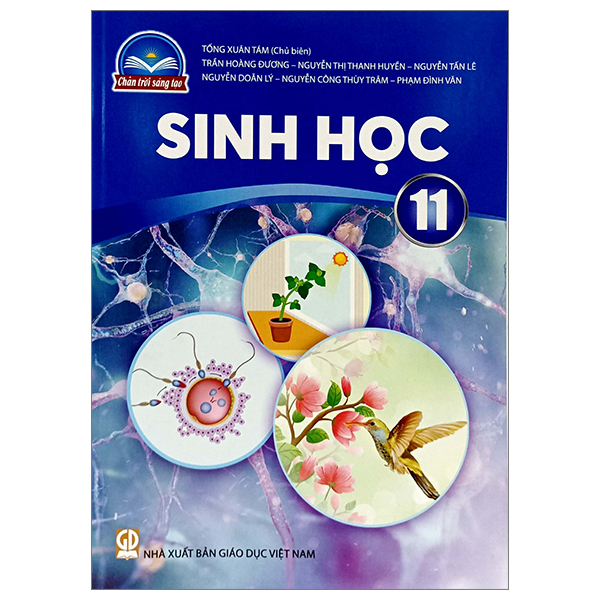 sách giáo khoa lớp 11 - chân trời - chương trình chuẩn (bài học + bài tập) - Ảnh 12