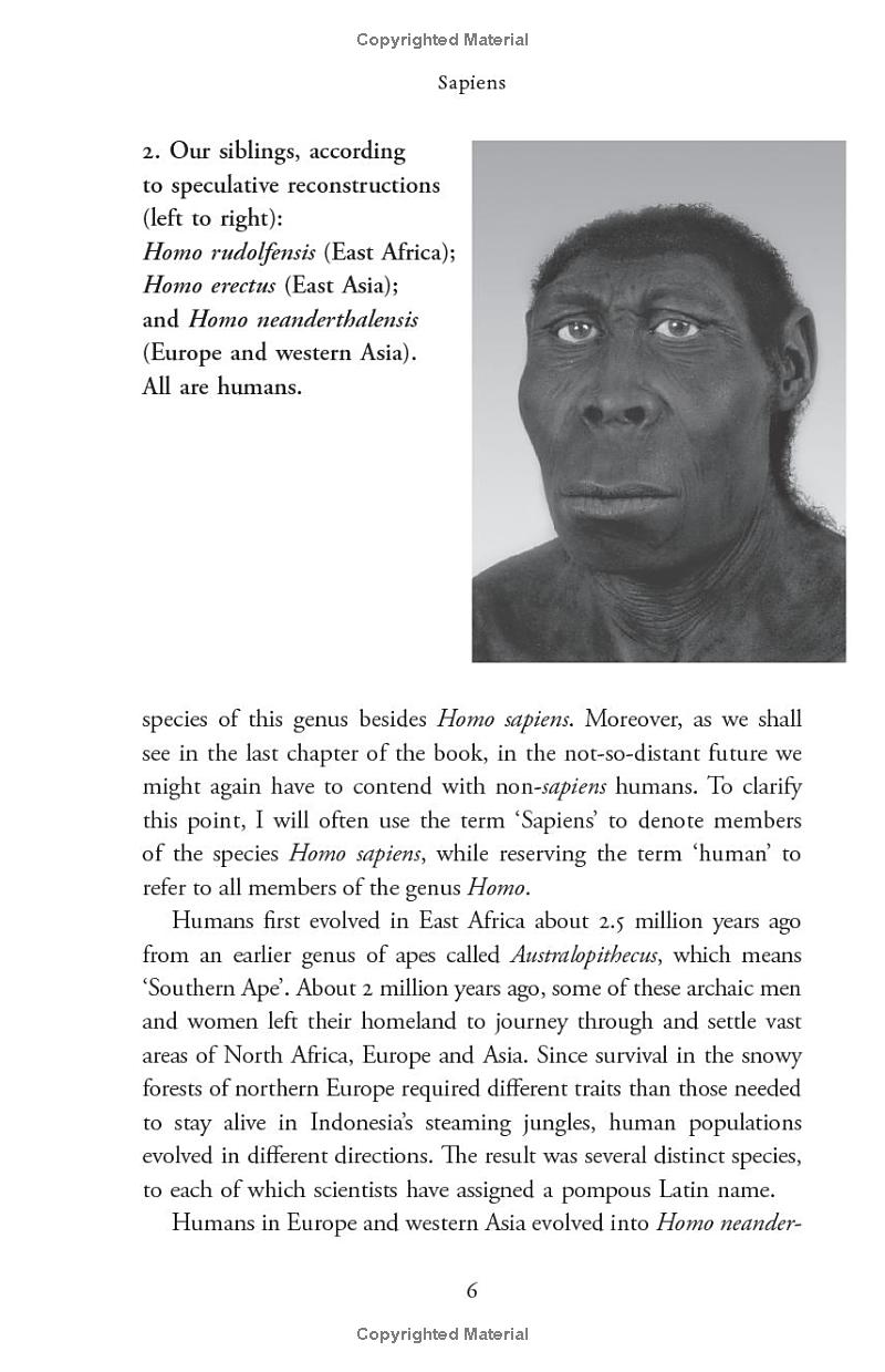sapiens - a brief history of humankind (10 year anniversary edition) - Ảnh 13