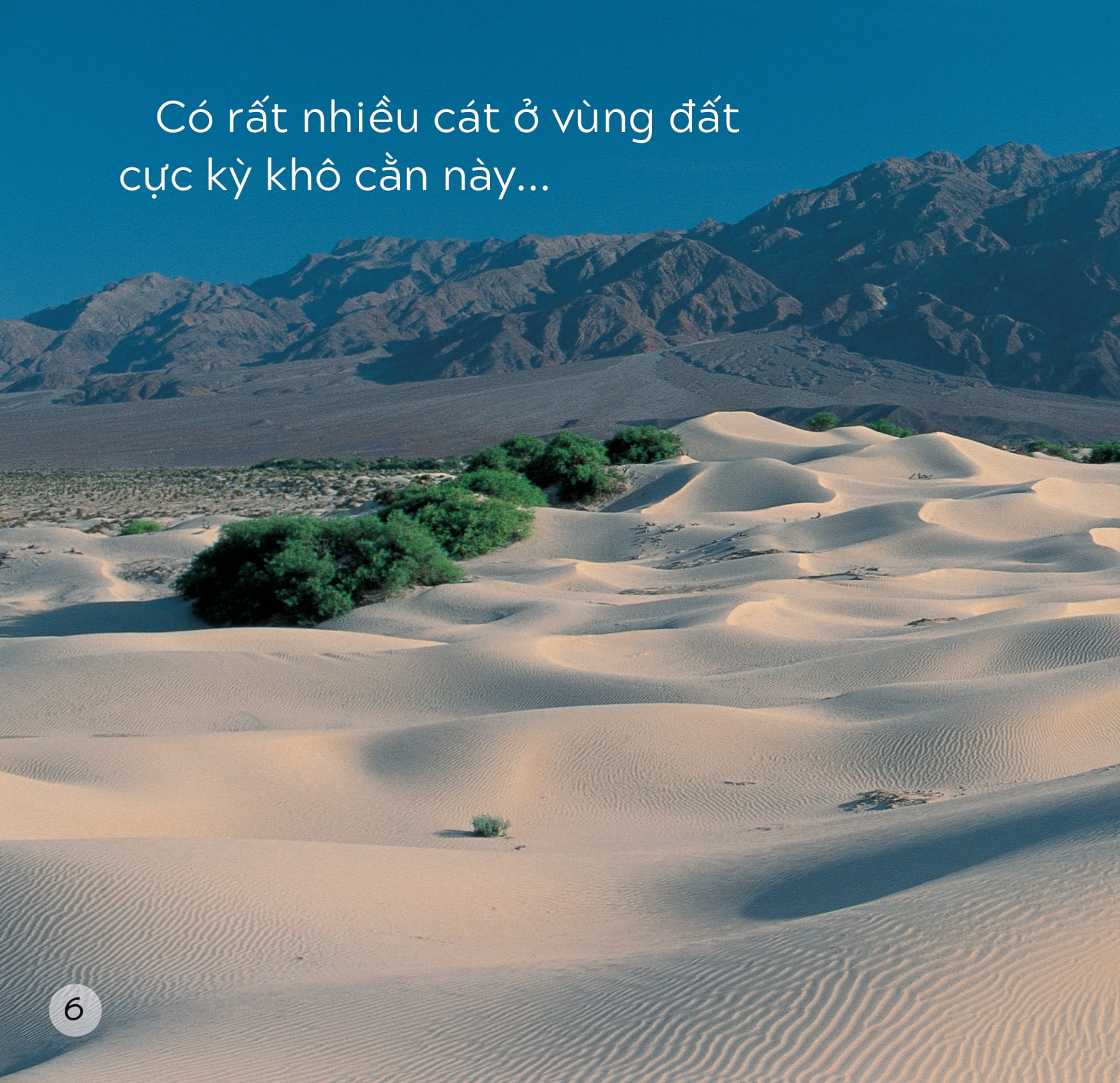 song ngữ việt anh - khám phá thế giới - ở vùng đất khô cằn - in a dry land - Ảnh 7