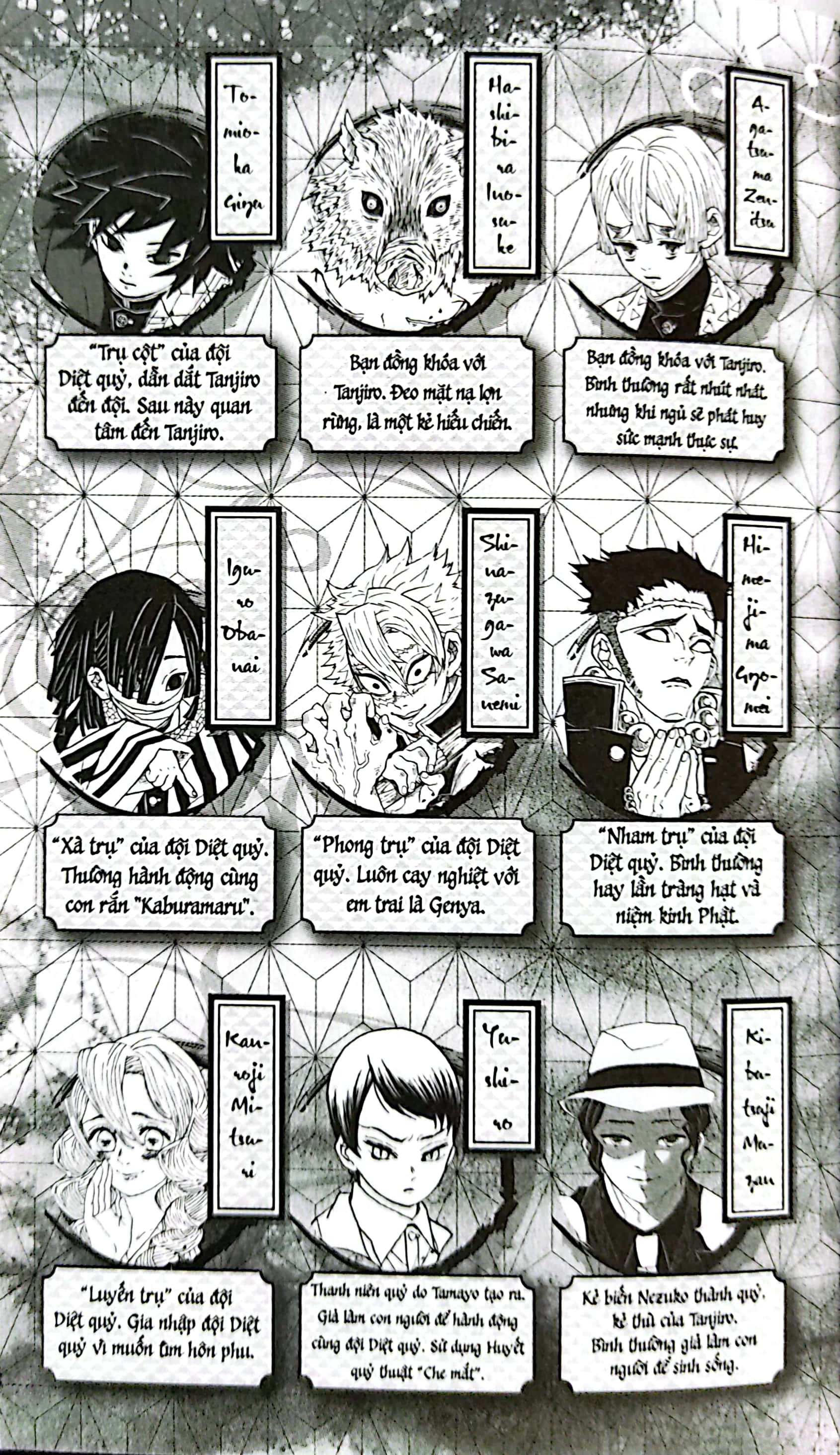 thanh gươm diệt quỷ - kimetsu no yaiba - tập 23 - vượt qua tháng năm, sinh mệnh tỏa rạng (tái bản 2025) - Ảnh 4