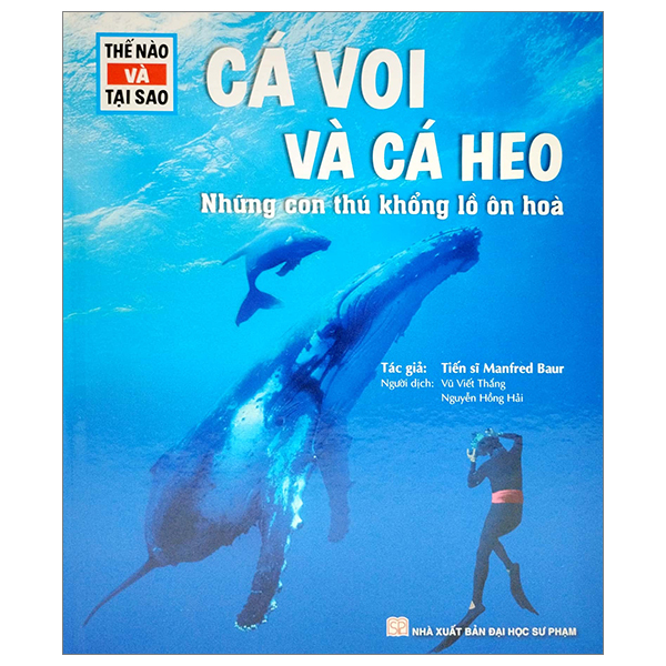 thế nào và tại sao - cá voi và cá heo - những con thú khổng lồ ôn hòa - bìa cứng (tái bản 2023) - Ảnh 2