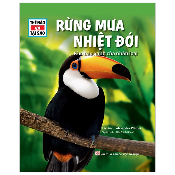 Thế Nào Và Tại Sao - Thời Trung Cổ - Thế Giới Của Hoàng Đế, Quý Tộc Và Nông Dân - Ảnh 10