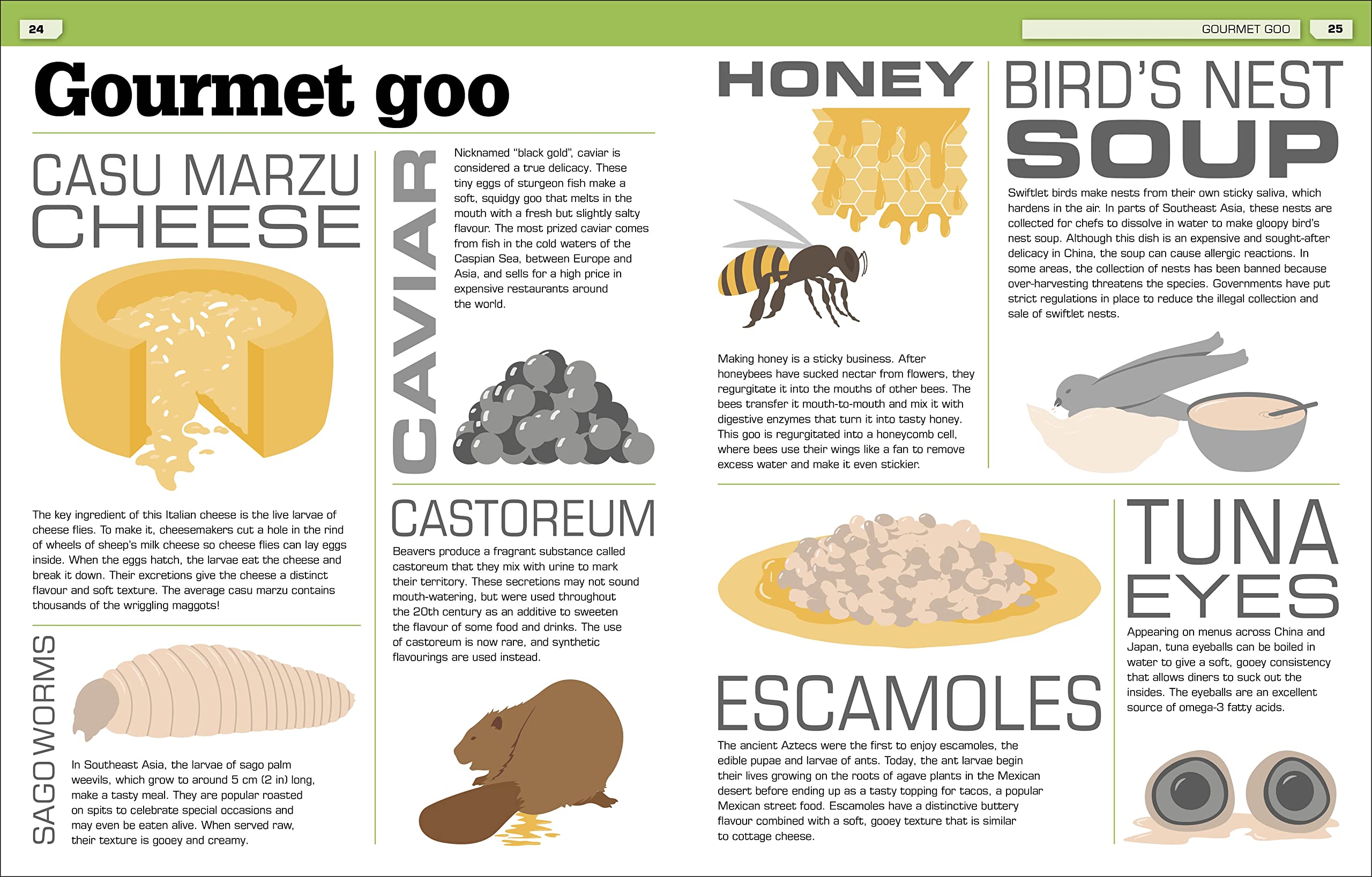 the science of goo!: from saliva and slime to frogspawn and fungus - Ảnh 6
