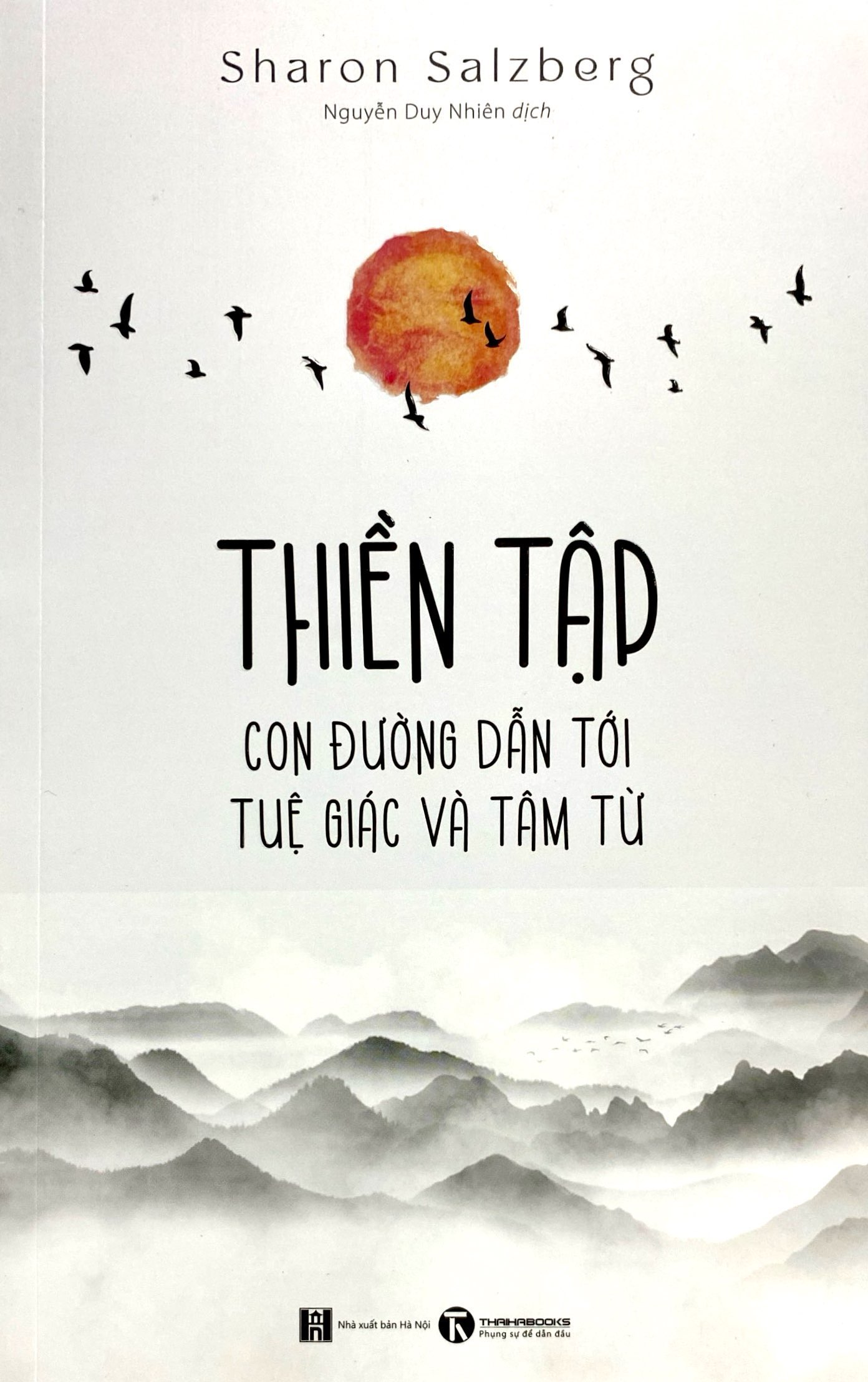 thiền tập - con đường dẫn tới tuệ giác và tâm từ - Ảnh 4