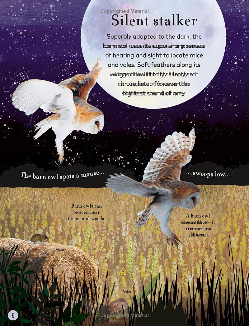 through the night sky: a collection of amazing adventures under the stars - Ảnh 8