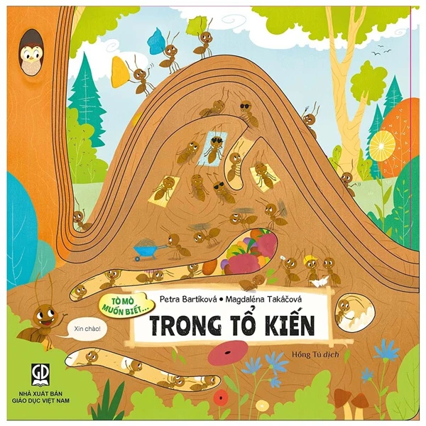 Tò Mò Muốn Biết... - Trong Bóng Đêm - Bìa Cứng - Ảnh 2