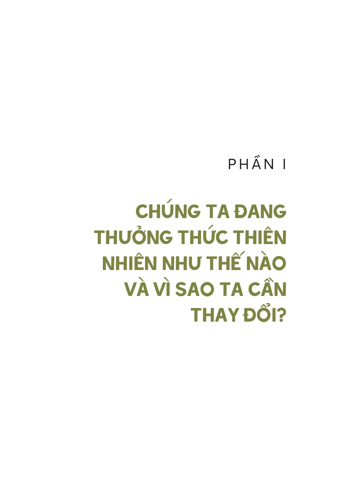 vẻ đẹp của cảnh sắc tầm thường - hay vì sao chúng ta cần thay đổi cách thưởng thức thiên nhiên? - Ảnh 12