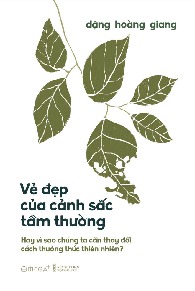 vẻ đẹp của cảnh sắc tầm thường - hay vì sao chúng ta cần thay đổi cách thưởng thức thiên nhiên? - Ảnh 2
