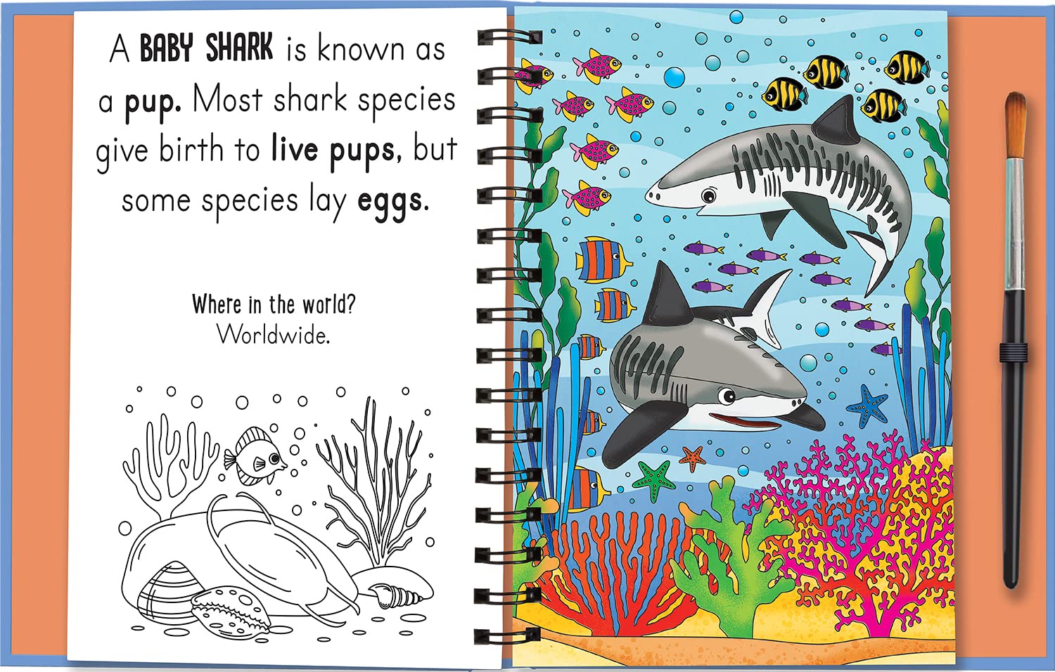 woof and meow - baby animals (magic water colouring) - Ảnh 7