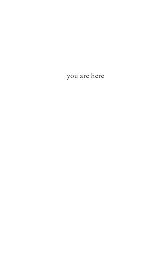 you are here - discovering the magic of the present moment - Ảnh 3