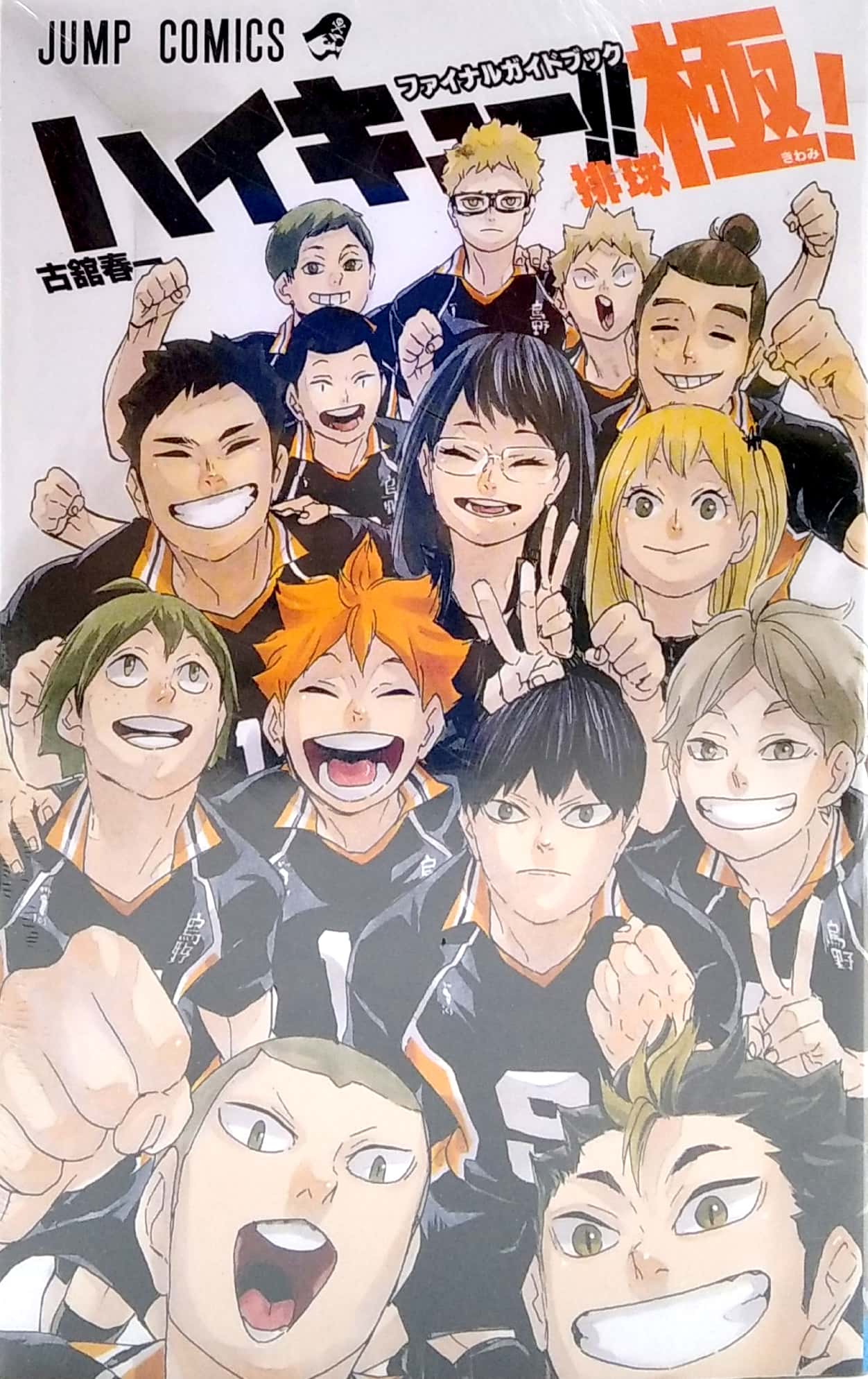 ハイキュー!! ファイナルガイドブック 排球極! (ジャンプコミックス) hai kyuu ! ! fainarugaidobu - Ảnh 2